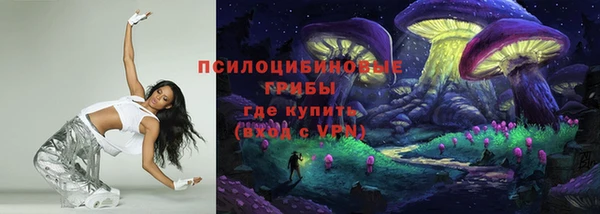 сатива Аркадак