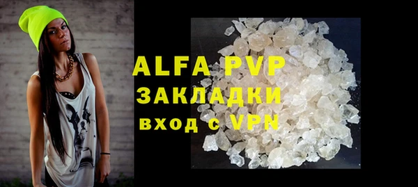 сатива Аркадак