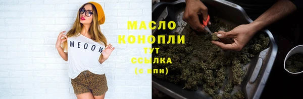 сатива Аркадак