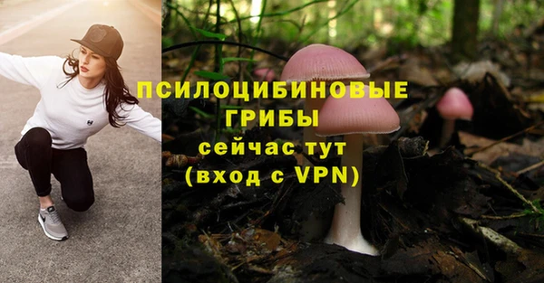 прущая мука Арсеньев
