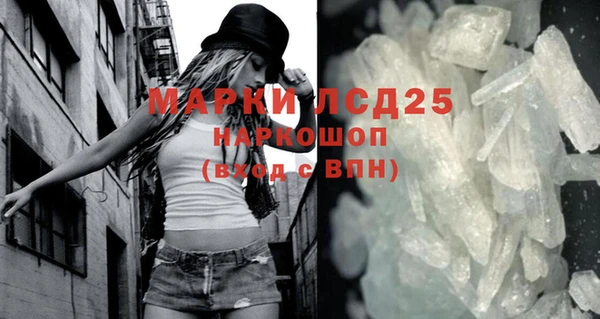 сатива Аркадак