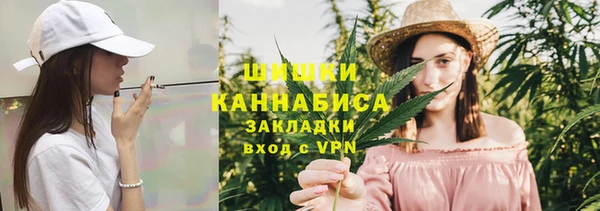 сатива Аркадак