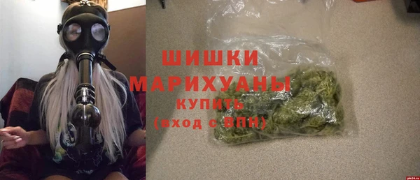 сатива Аркадак