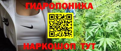 хмурый Шебекино